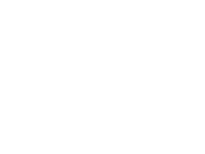 活動概要
