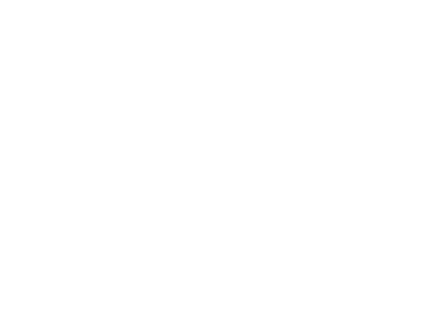 活動レポート